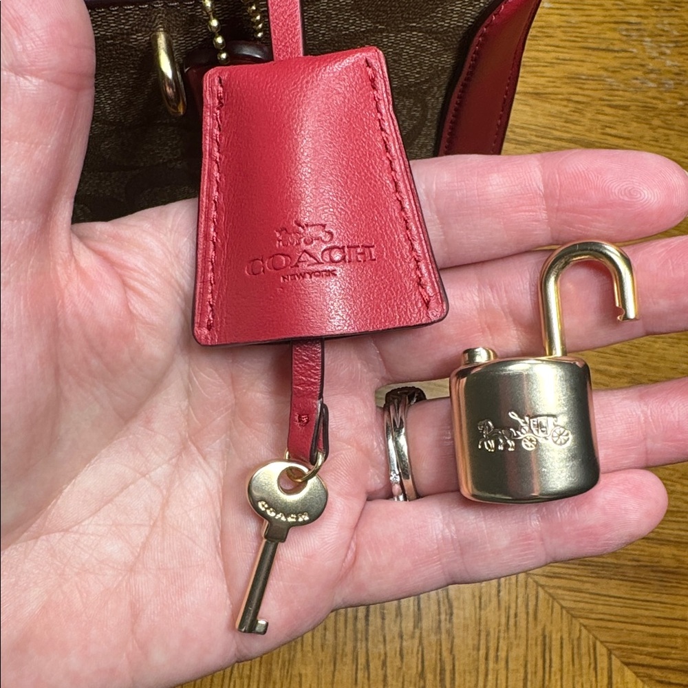 COACH ZOE CARRYALL - Picture 2 of 16